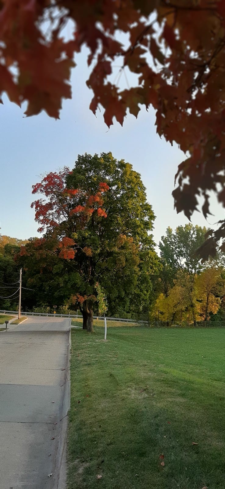 Graham Park playground photo 3