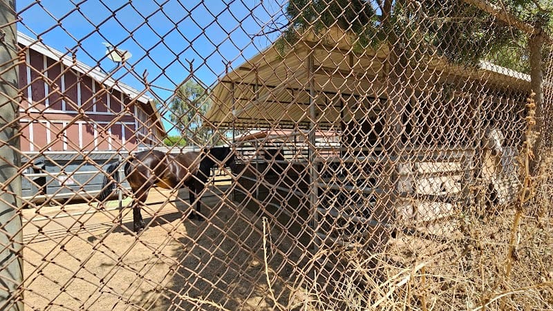 Grant Rea Park playground photo 3