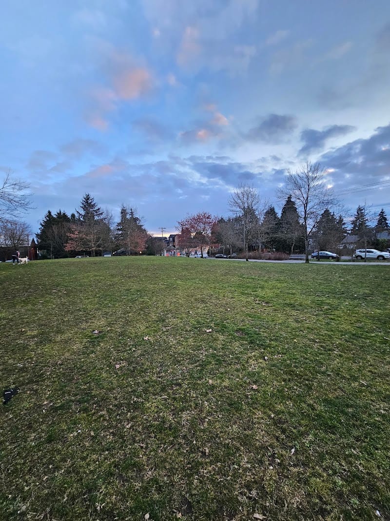 Greenwood Park playground photo 3