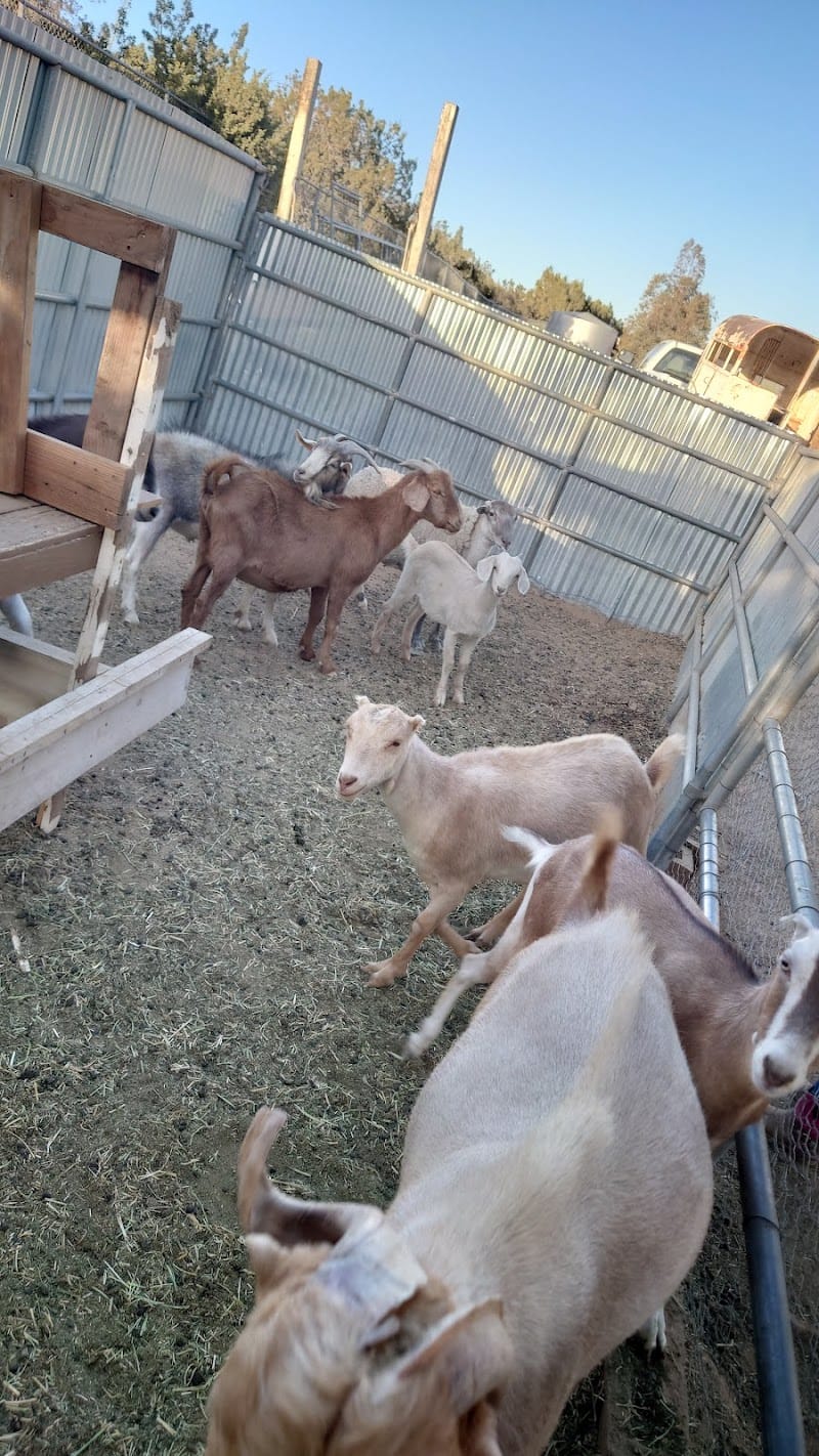 Guevara Ranch playground photo 3