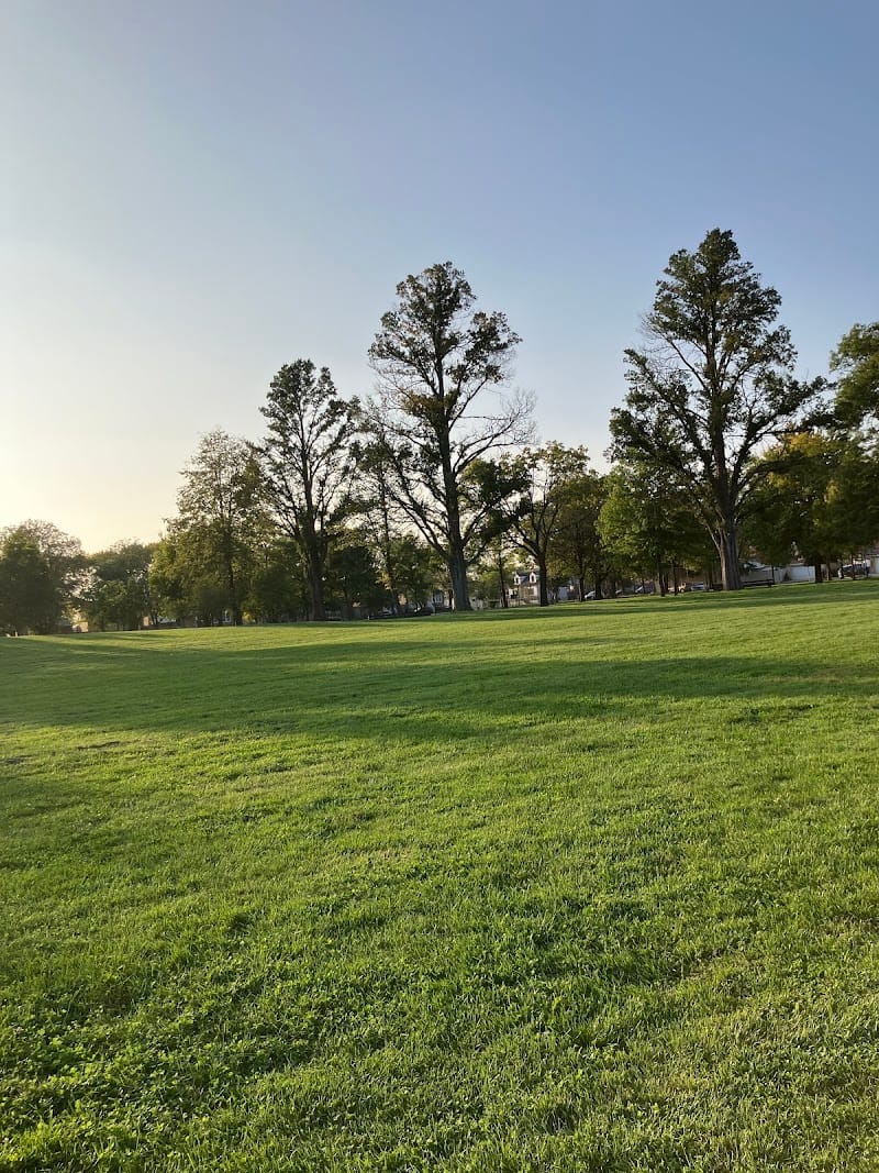 Hale (Nathan) Park playground photo 3
