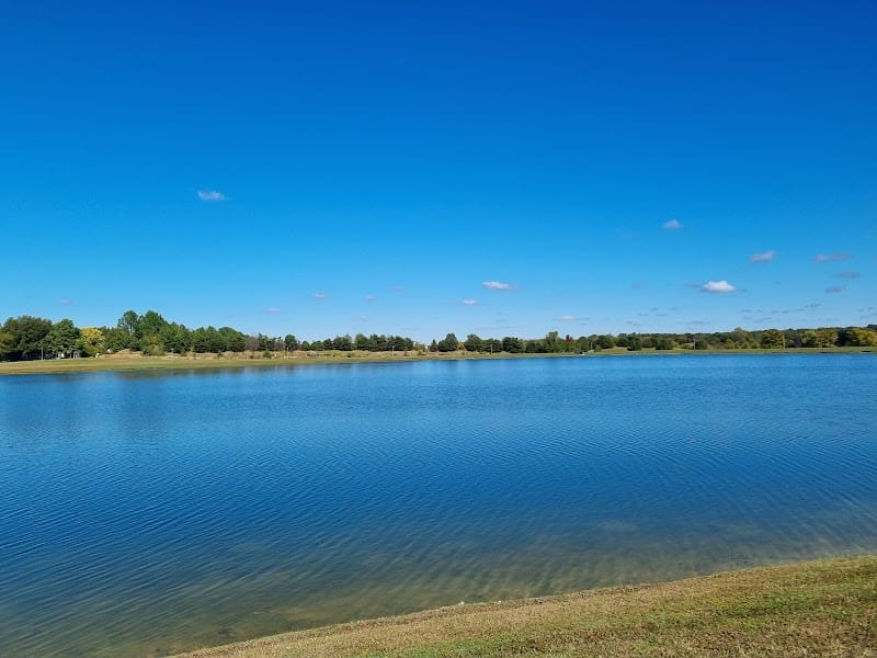 Halle Park playground photo 1