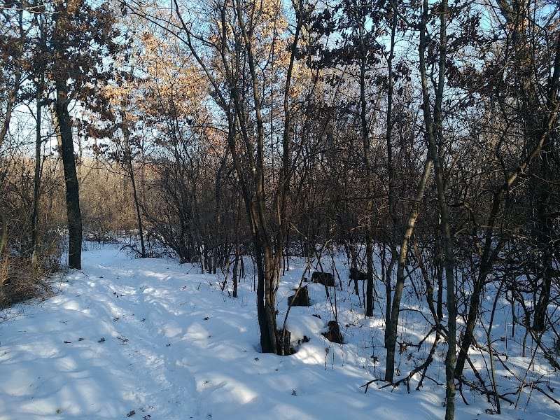 Halverson Park playground photo 1