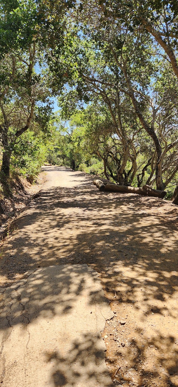 Hastings Tot Lot playground photo 1