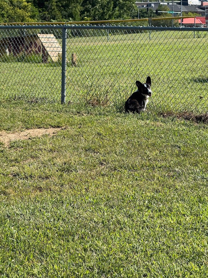 Hefflinger Park playground photo 1