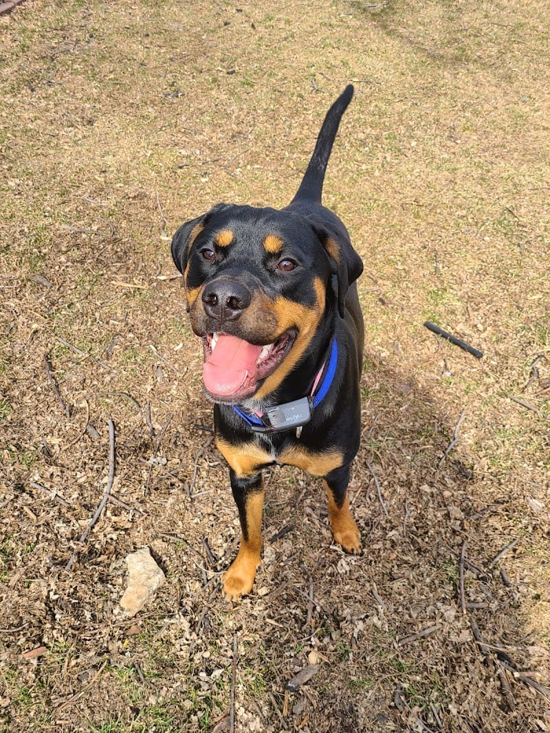 Hefflinger Park playground photo 3