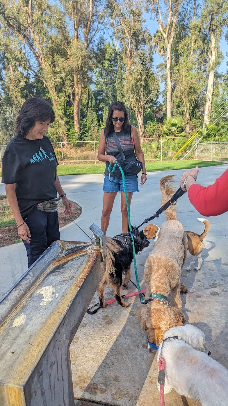 Hermosa Drive Park playground photo 2