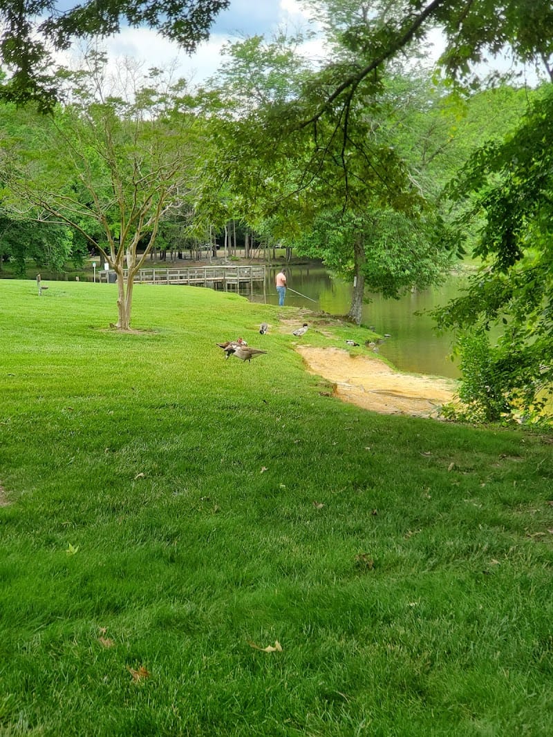 Hester Park playground photo 2