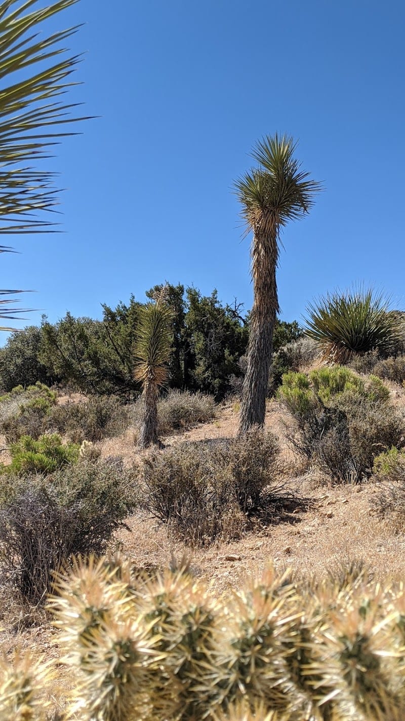 Hi-View Trailhead playground photo 3