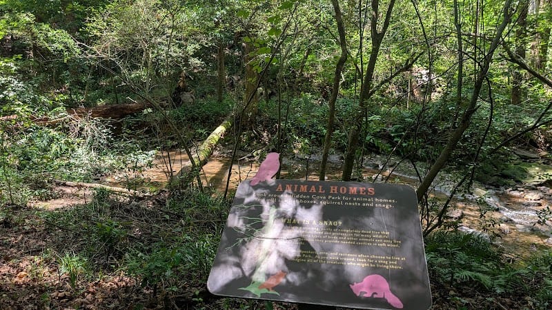 Hidden Cove Park playground photo 3