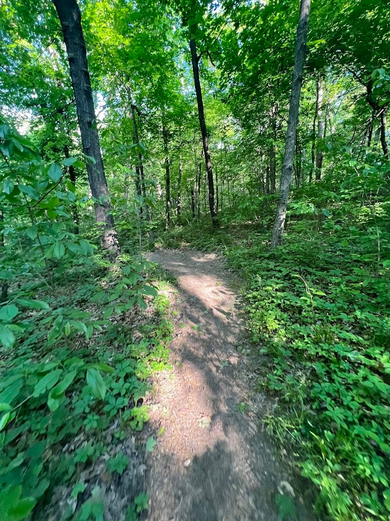 Hidden Valley Park playground photo 1