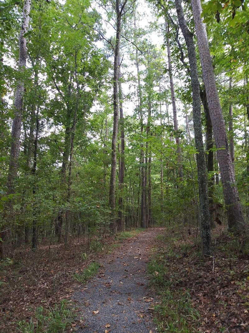 Hill Wheatley Park playground photo 3