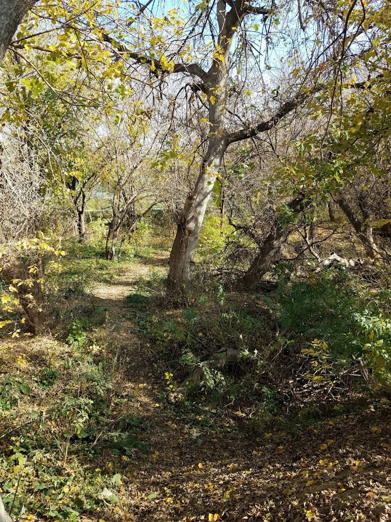 Hillsborough Park playground photo 3