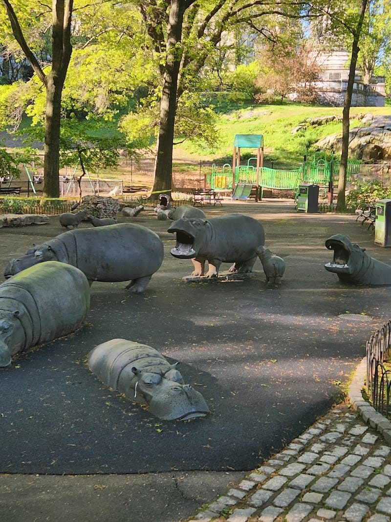 Hippo Playground playground photo 1