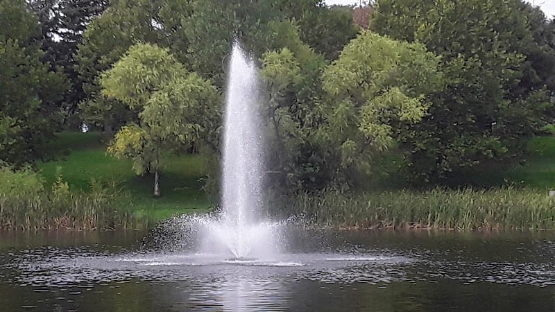 Hitchcock Park playground photo 2