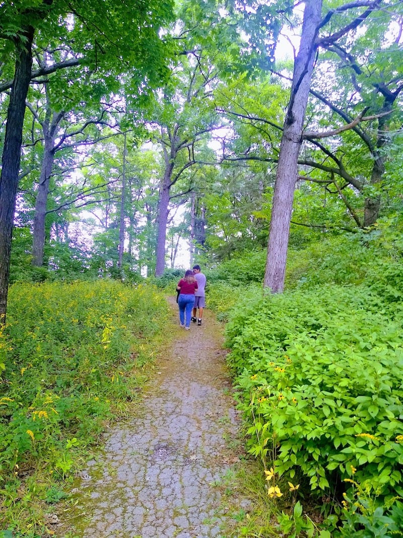 Holler Playground playground photo 2