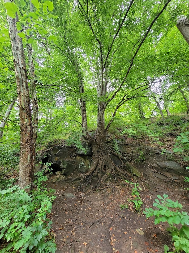 Hollins Mill Park playground photo 3