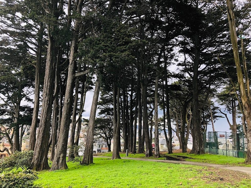 Holly Park playground photo 1