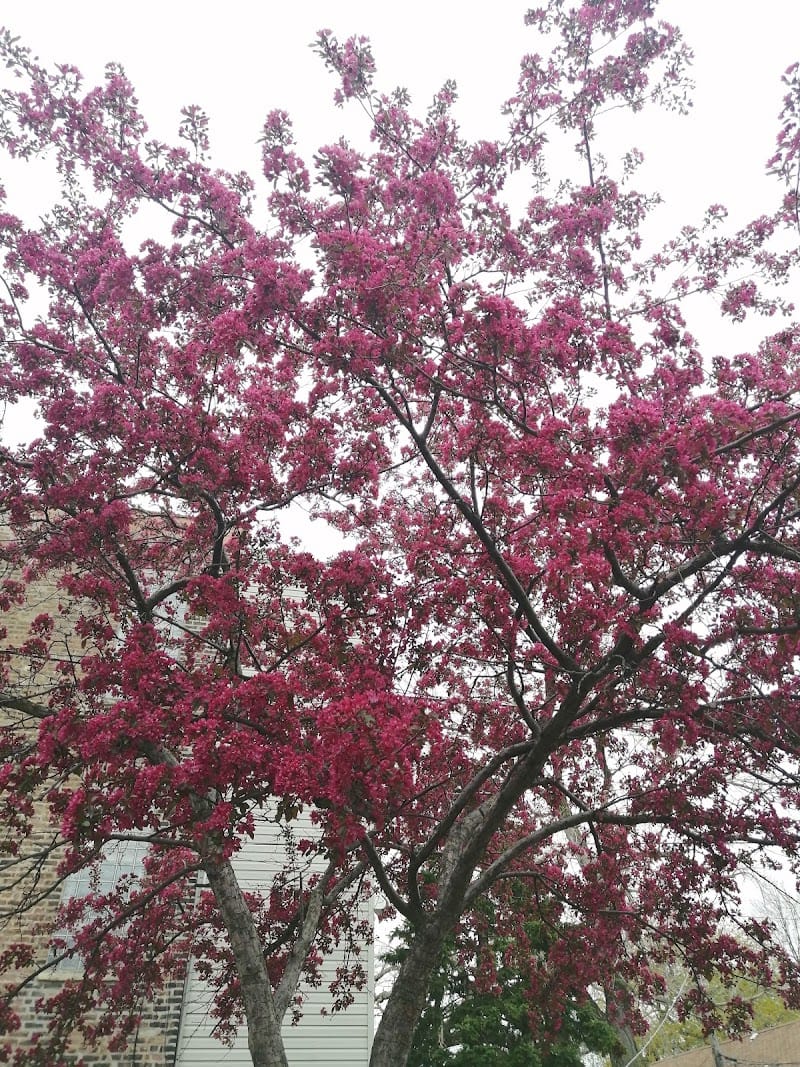 Humbert (James) Park playground photo 3