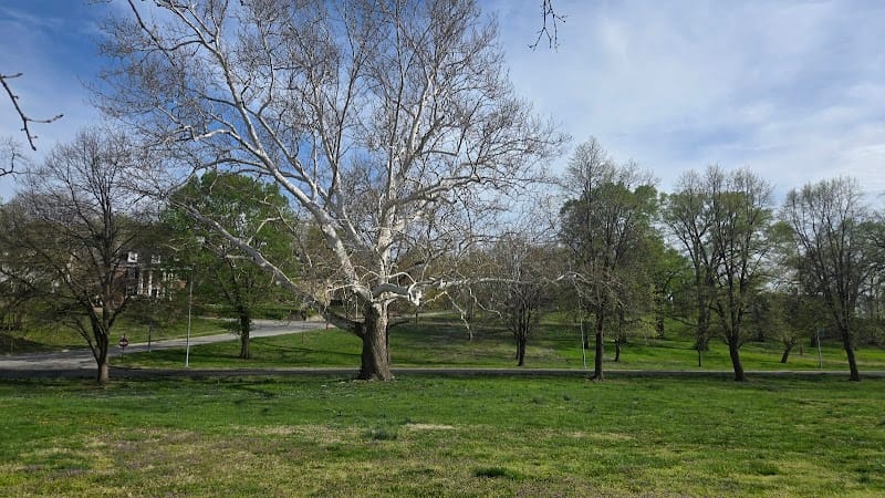 Hyde Park playground photo 1