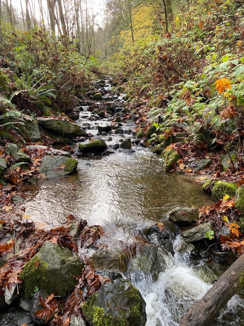 Japanese Gulch playground photo 1
