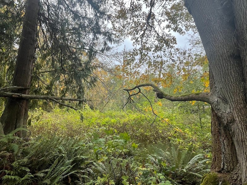 Japanese Gulch playground photo 3