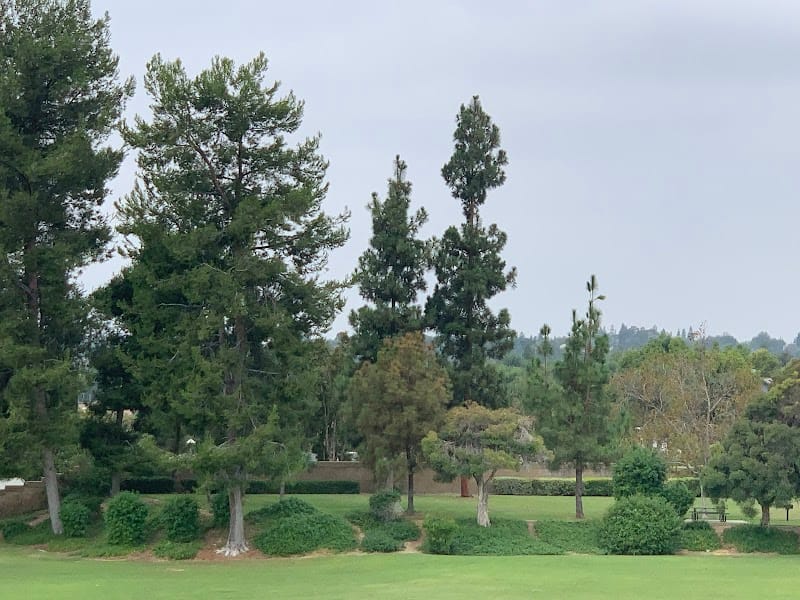 Jean Woodard Park playground photo 1
