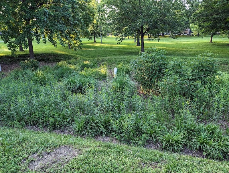 Jesup Blair Park playground photo 3