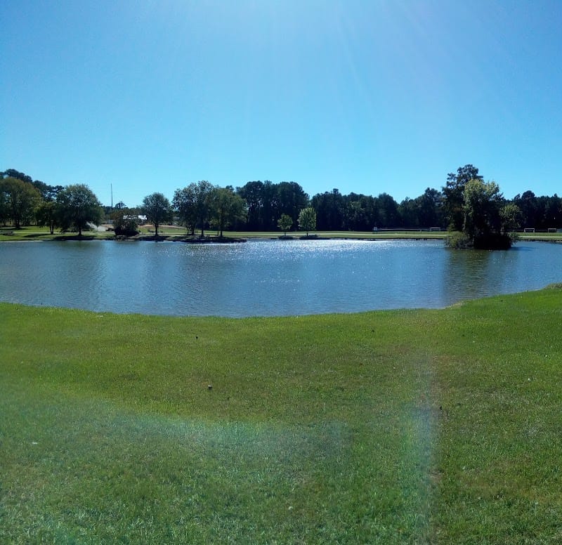 Joe Pedigo Park playground photo 1