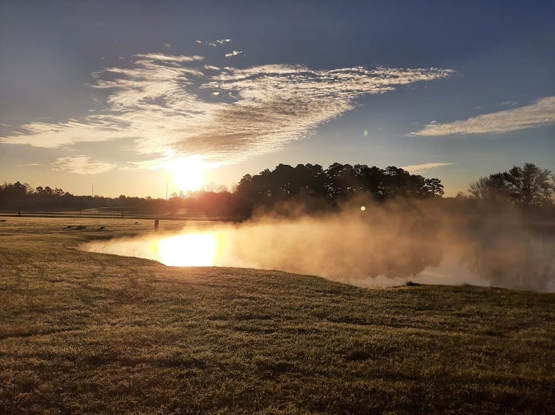 Joe Pedigo Park playground photo 3