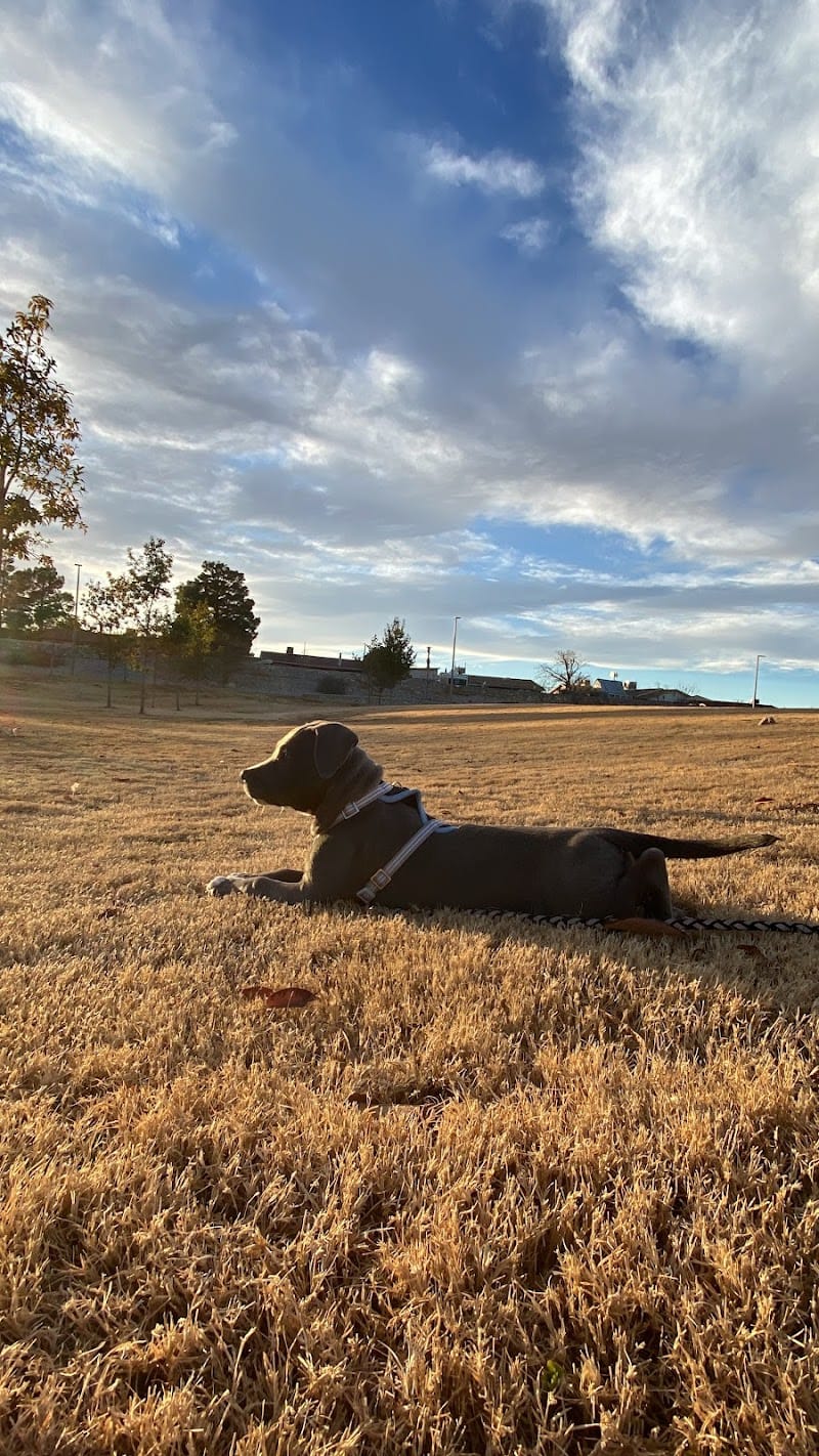 John Lyons Park playground photo 3