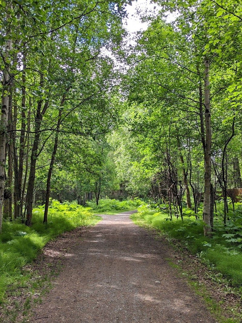 Johns Park playground photo 3