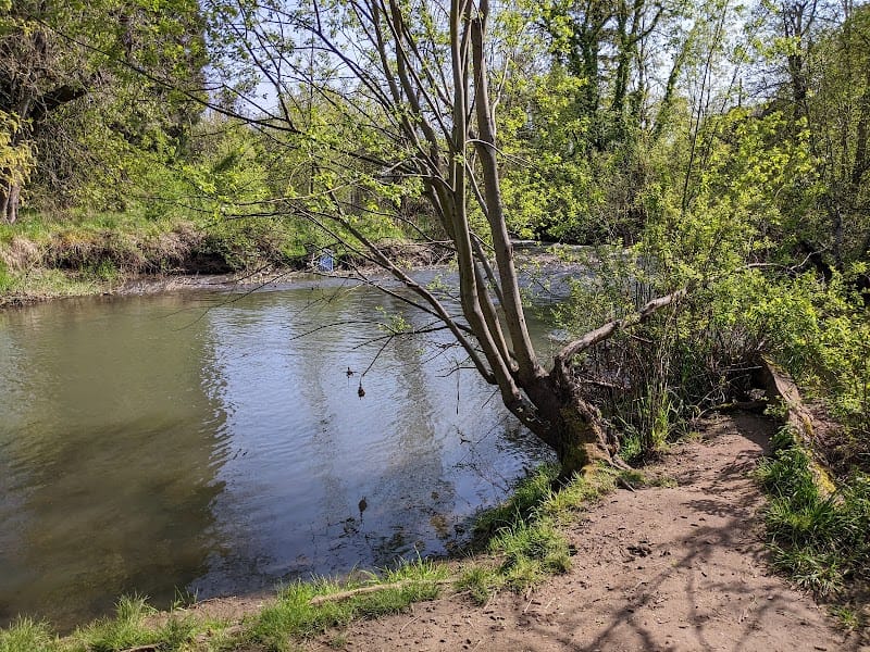 Johnson Creek Park playground photo 3