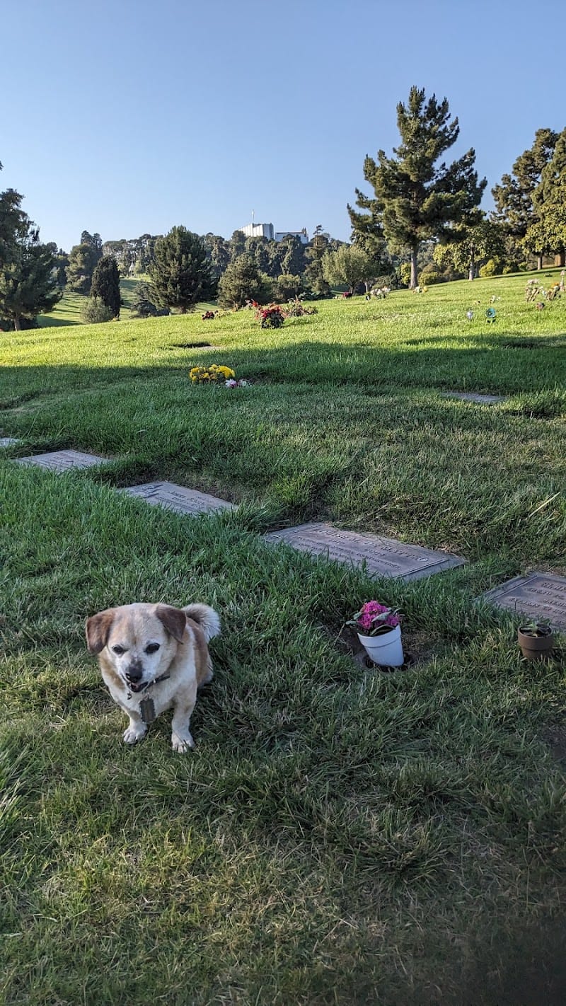 Juntos Family Park playground photo 2