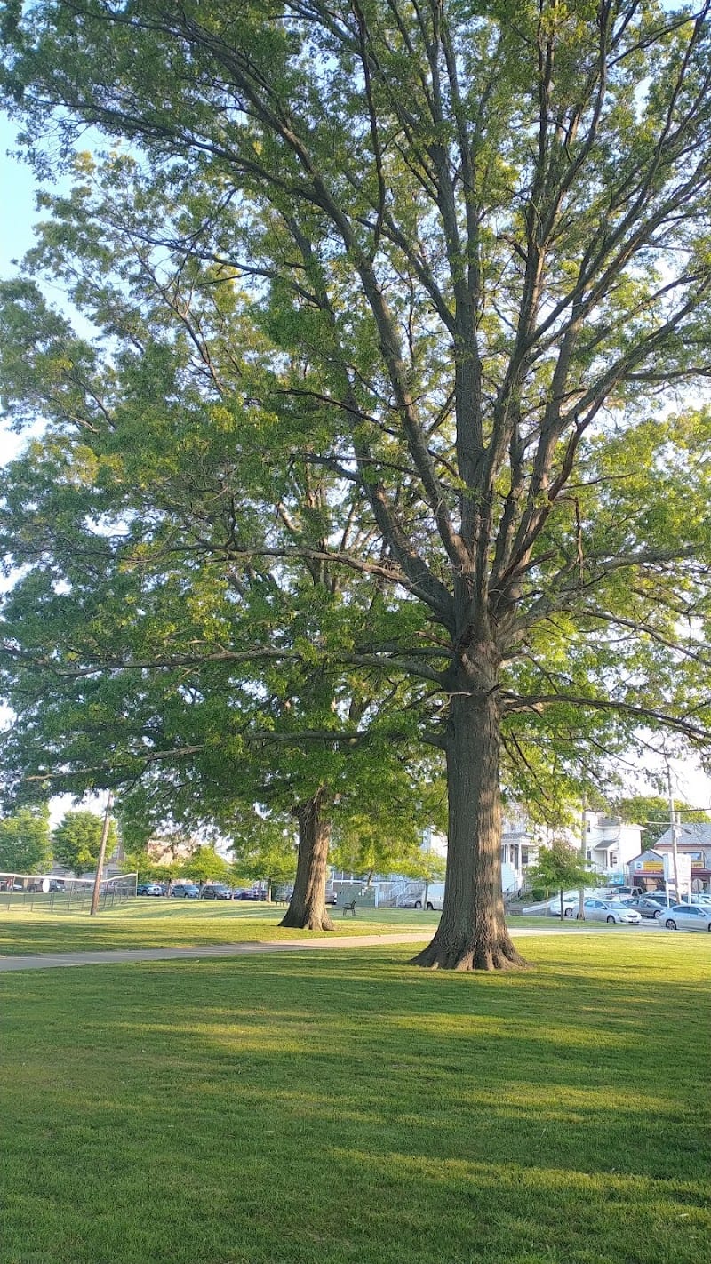Kelly Park playground photo 2