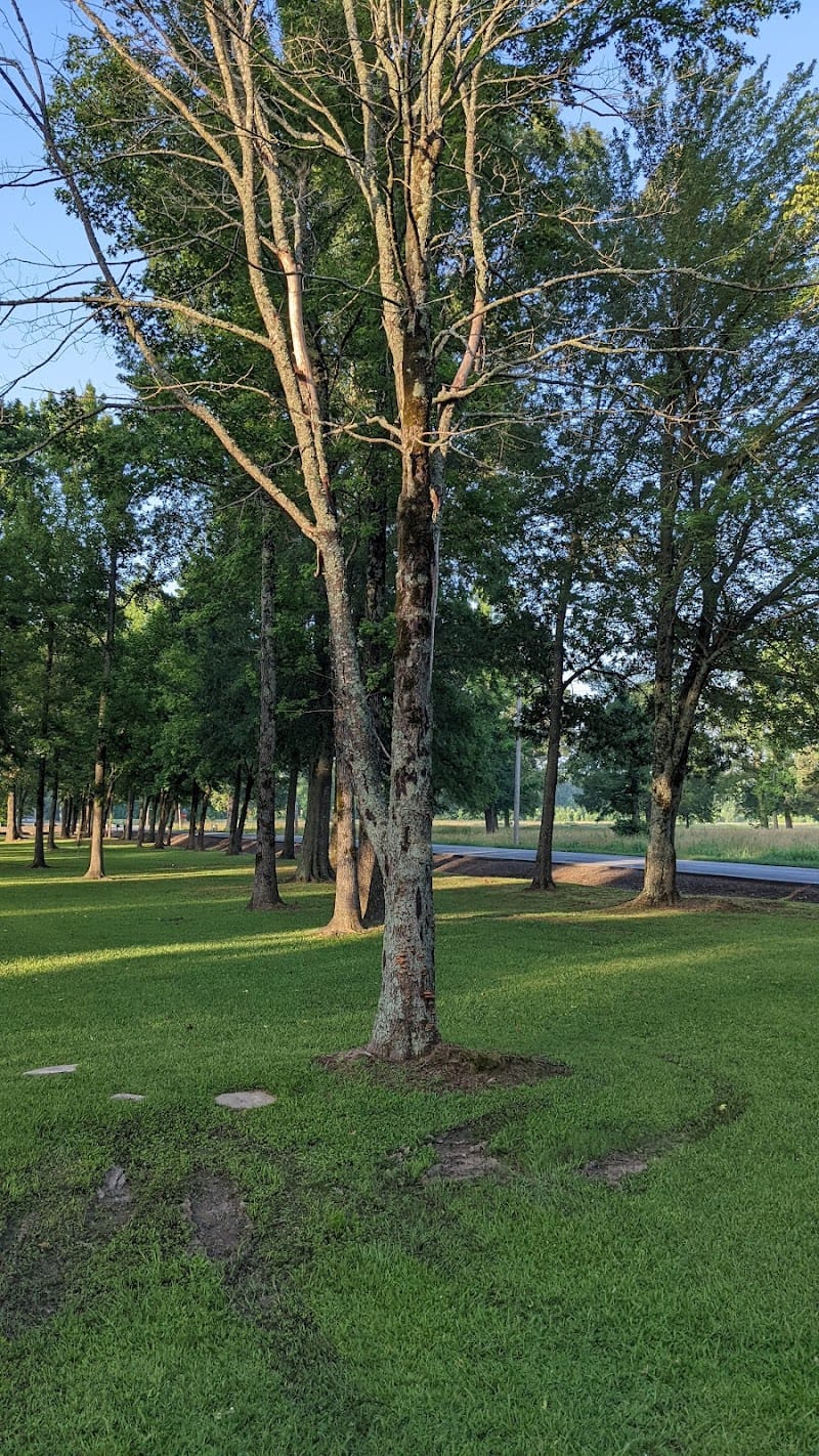 Kerr Station Park playground photo 2