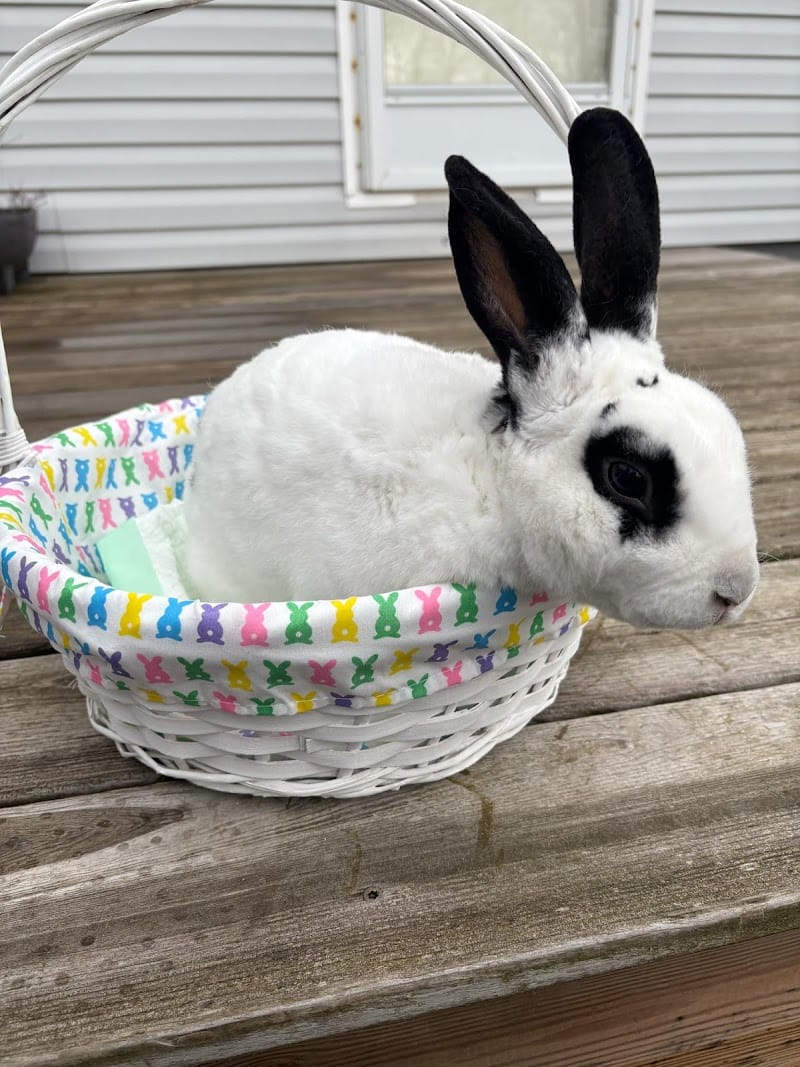 Kidz Towne playground photo 3