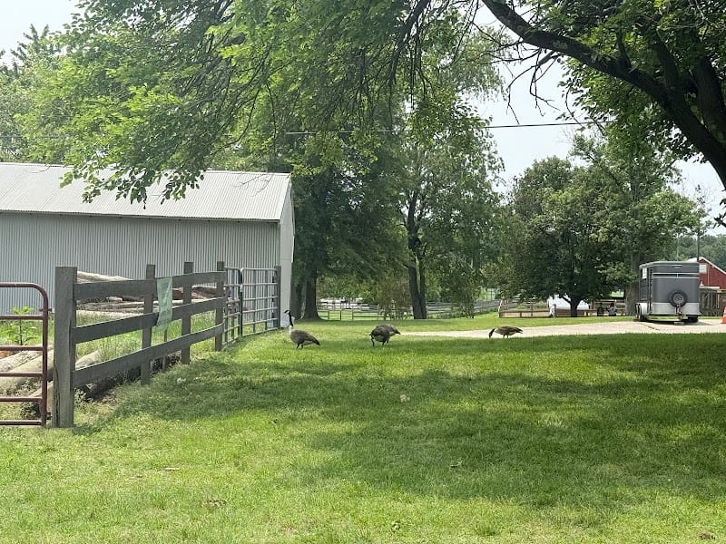 Kinder Farm playground photo 1