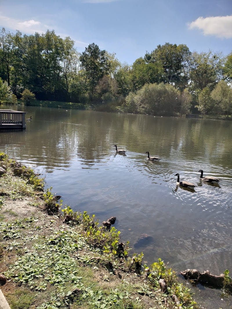 Krannert Park playground photo 3