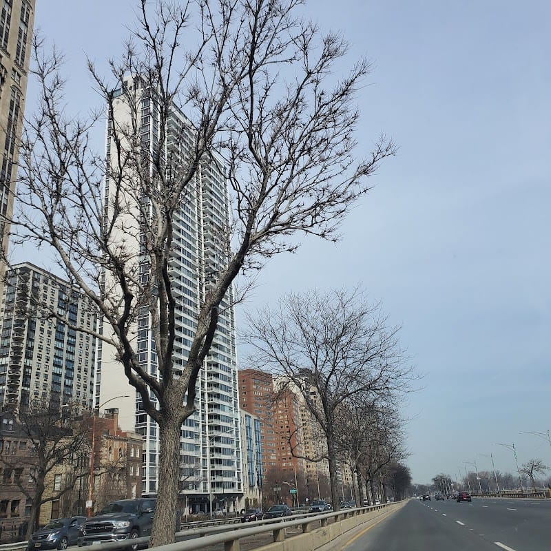 Lake Shore Park playground photo 3