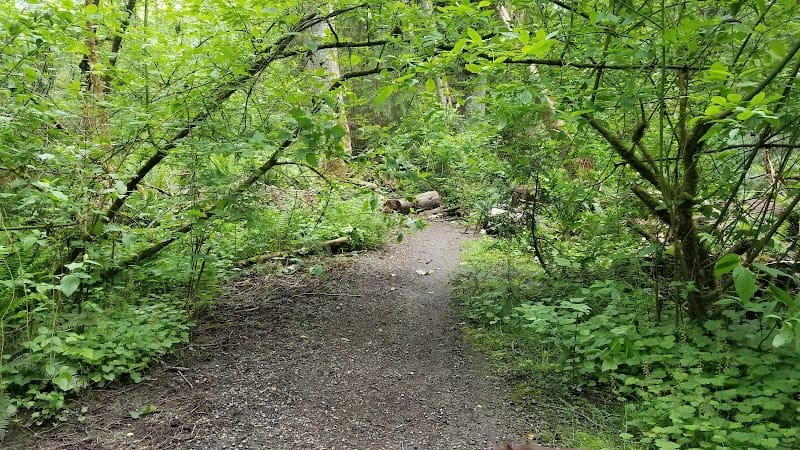 Lakeridge Park playground photo 1