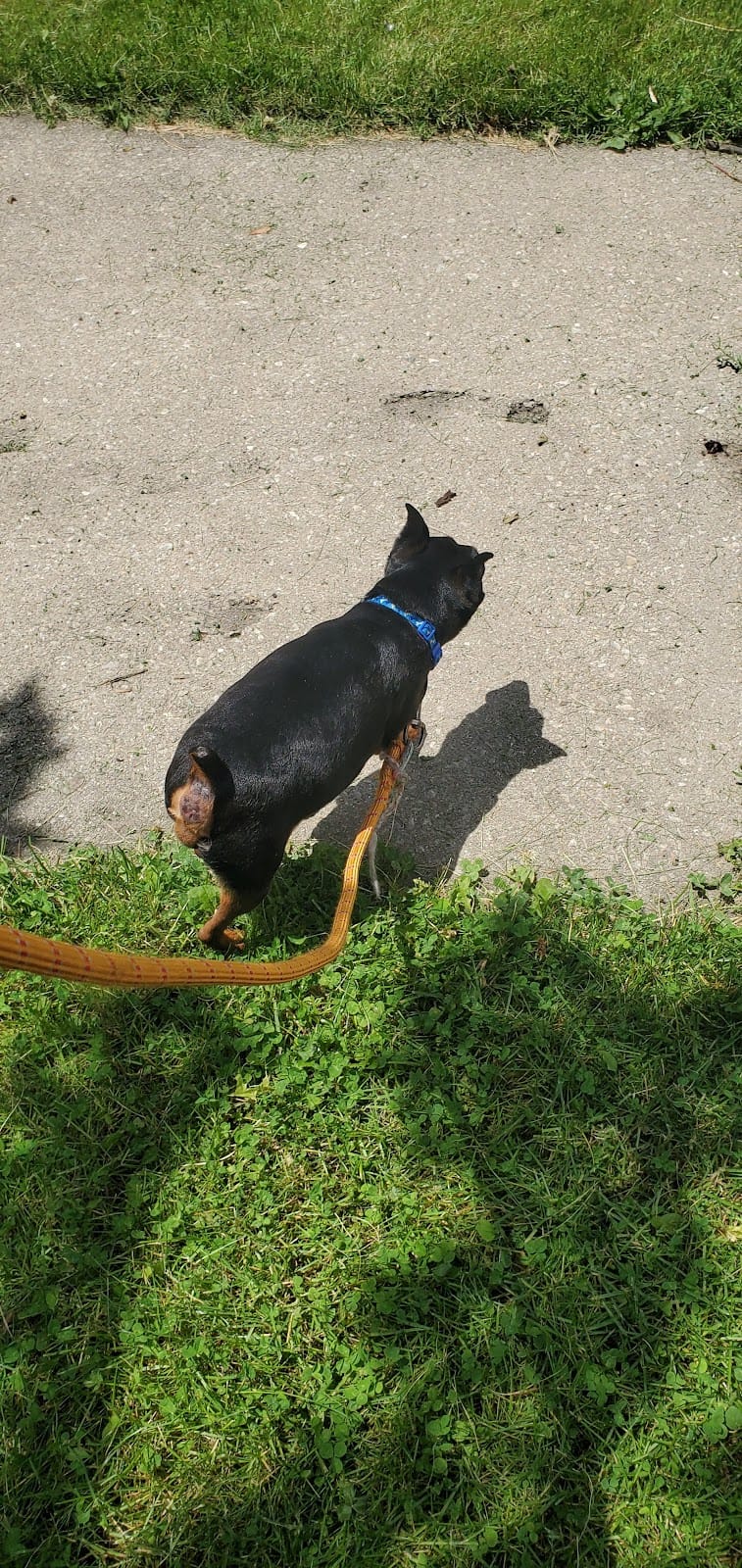 Levin (John) Park playground photo 3
