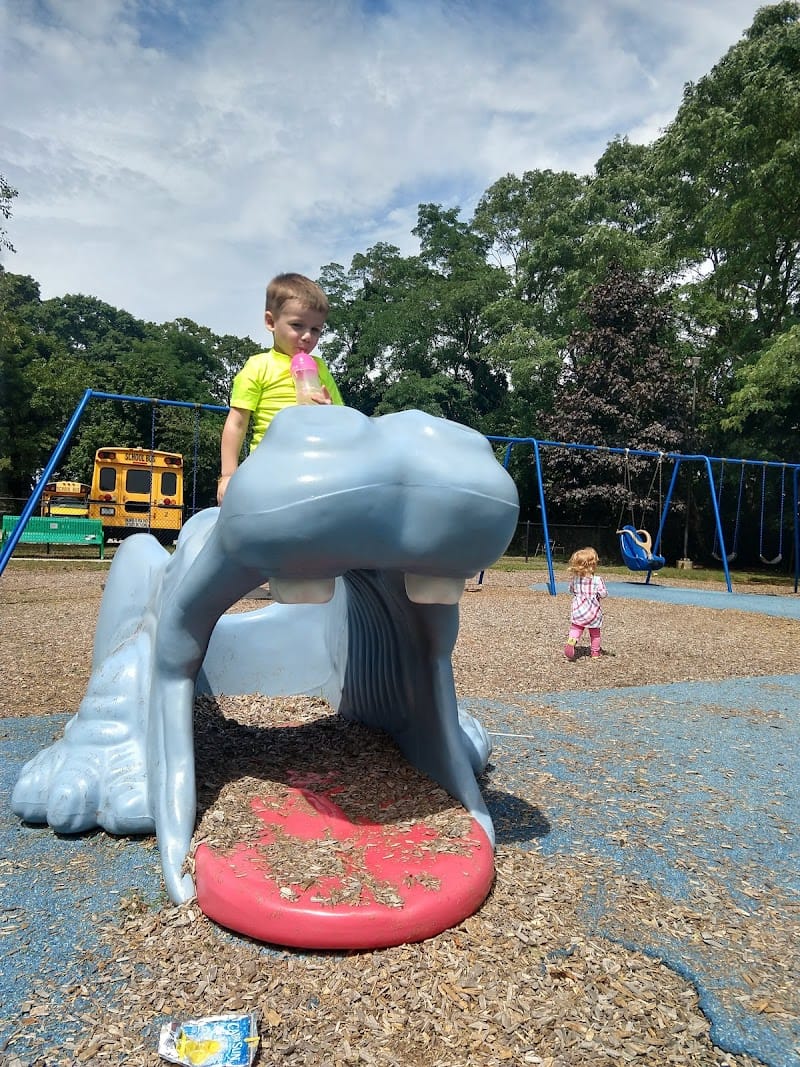 Library Playground playground photo 2