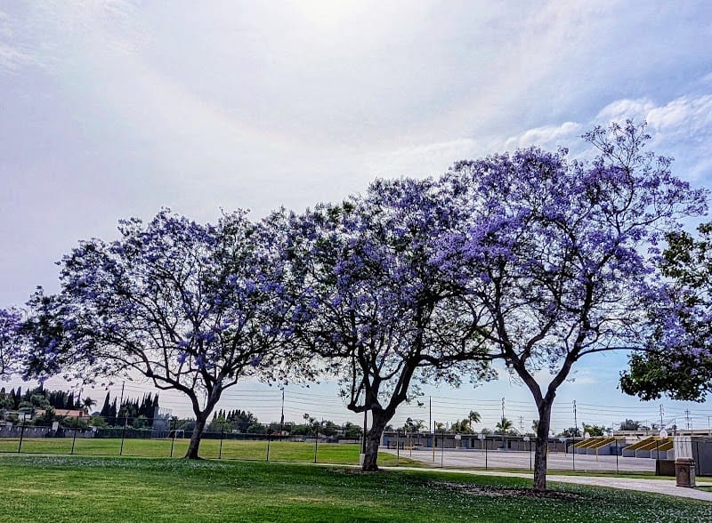 Lillie King Park playground photo 2