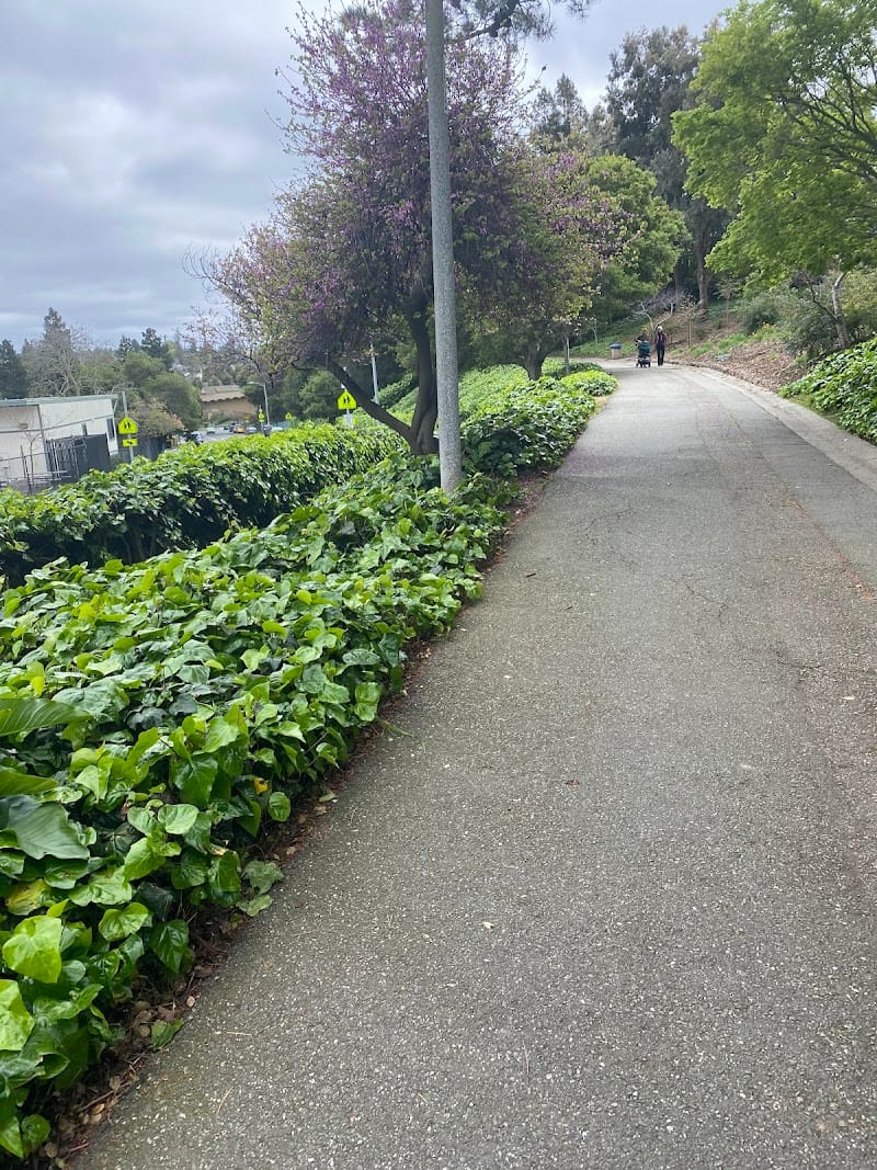 Linda Playground playground photo 3