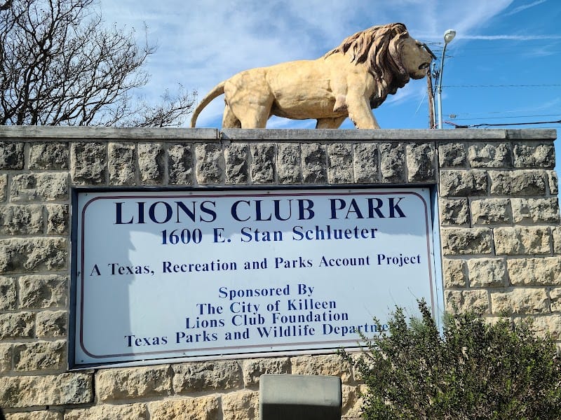 Lions Club Park playground photo 3
