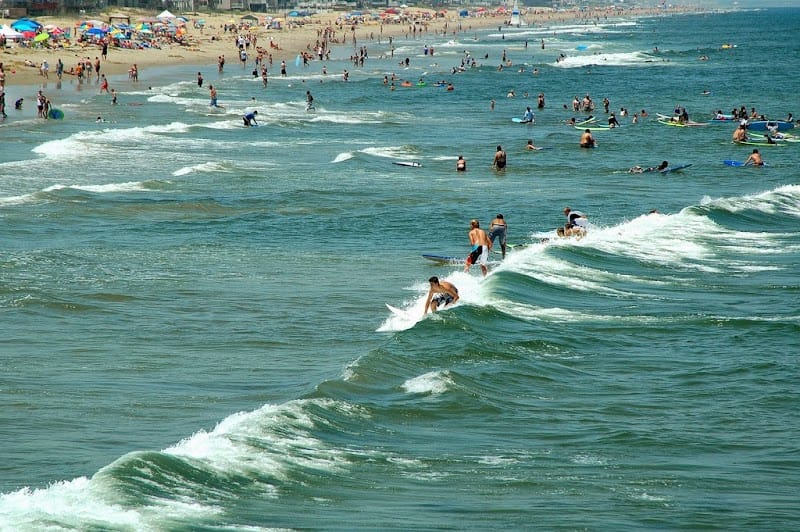 Little Island Park playground photo 1