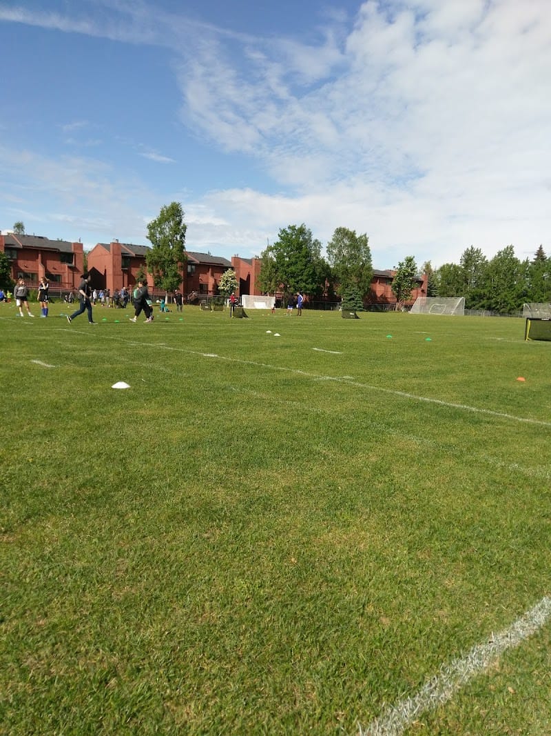 Lloyd Steele Park playground photo 1