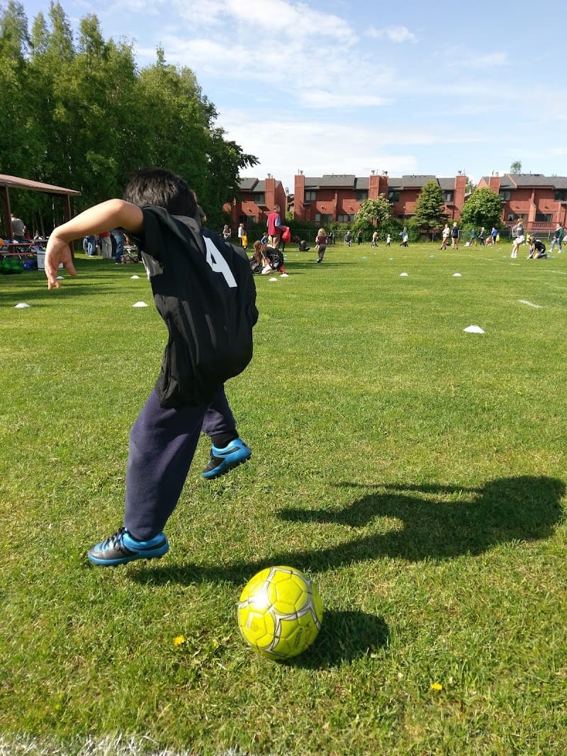 Lloyd Steele Park playground photo 3