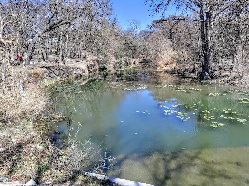 Lowry Park playground photo 1